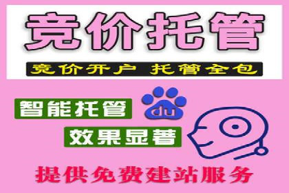 竞价广告的技巧与策略：网络推广的经典案例分享