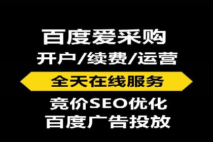 百度竞价推广运营实战技巧与经典案例剖析